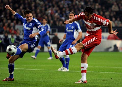 他的全面表 他的全面表